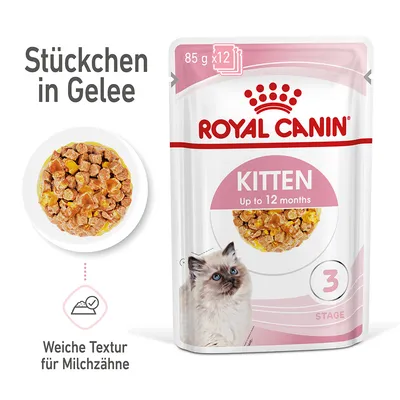 Royal Canin Kitten Stückchen in Gelee, 85g x 12, für Katzen bis zu 12 Monaten. Weiche Textur für Milchzähne.