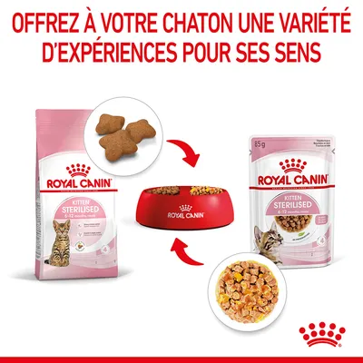 Royal Canin Kitten Sterilised 6–12 months : sachet de croquettes, sachet fraîcheur 85 g et gamelle rouge avec aliments pour chaton stérilisé visibles.