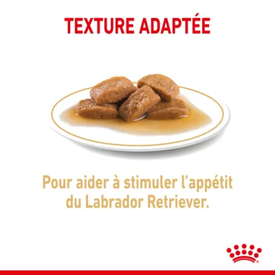 Texte : TEXTURE ADAPTÉE. Pour aider à stimuler l’appétit du Labrador Retriever. Assiette avec bouchées en sauce. Marque Royal Canin visible.