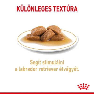 KÜLÖNLEGES TEXTÚRA. Segít stimulálni a labrador retriever étvágyát. Tányéron szószos falatok láthatók.
