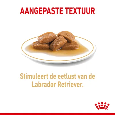 AANGEPASTE TEXTUUR. Stimuleert de eetlust van de Labrador Retriever. Schotel met natvoer in saus, Royal Canin kroon zichtbaar onderaan.