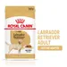 Royal Canin Labrador Retriever Adult en sauce pour chien