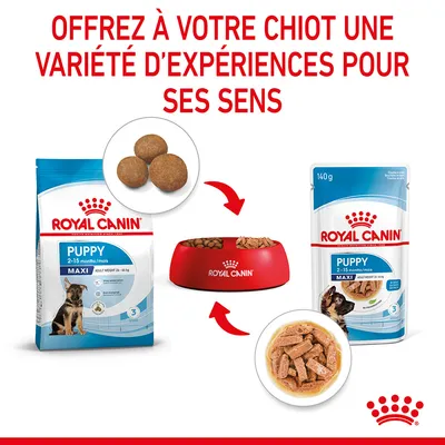 Royal Canin Puppy Maxi 2–15 mois : croquettes et sachet 140 g, gamelle rouge remplie, texte « Offrez à votre chiot une variété d’expériences pour ses sens » en haut de l’image.