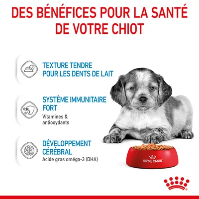 Des bénéfices pour la santé de votre chiot : texture tendre pour les dents de lait, système immunitaire fort (vitamines & antioxydants), développement cérébral (oméga-3 DHA), Royal Canin.