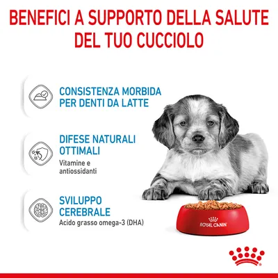 Benefici a supporto della salute del cucciolo: consistenza morbida per denti da latte, difese naturali ottimali con vitamine e antiossidanti, sviluppo cerebrale con DHA. Royal Canin.