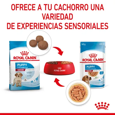 ROYAL CANIN Puppy Medium 2–12 months: imagen de pienso seco y húmedo, cuenco con ambos tipos de comida. Texto: Ofrece a tu cachorro una variedad de experiencias sensoriales.