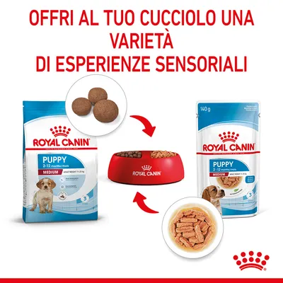ROYAL CANIN Puppy Medium 2-12 months: confezione di crocchette, confezione da 140 g di alimento umido e ciotola con entrambi i prodotti. Testo: Offri al tuo cucciolo una varietà di esperienze sensoriali.