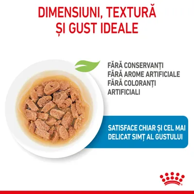 Dimensiuni, textură și gust ideale. Fără conservanți, fără arome artificiale, fără coloranți artificiali. Satisface chiar și cel mai delicat simț al gustului.