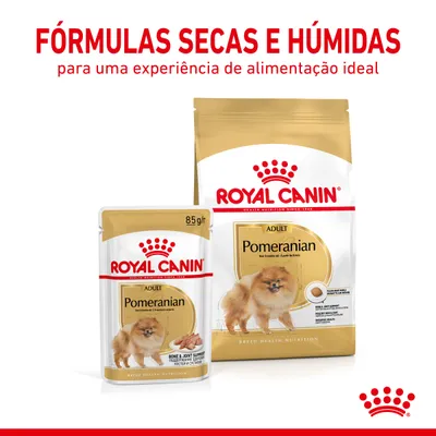 Royal Canin Adult Pomeranian, fórmulas secas e húmidas para cães, embalagem de 85 g e saco grande. Texto: FÓRMULAS SECAS E HÚMIDAS para uma experiência de alimentação ideal.