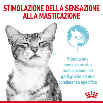 Stimolazione della sensazione alla masticazione. Stimola una sensazione alla masticazione nei gatti grazie ad una consistenza specifica.