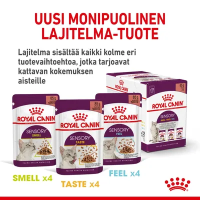 Royal Canin Sensory -lajitelma kissan märkäruokaa: Smell x4, Taste x4, Feel x4, 85 g annospussit. Pakkaus sisältää kaikki kolme makuvaihtoehtoa, yhteensä 12 pussia.