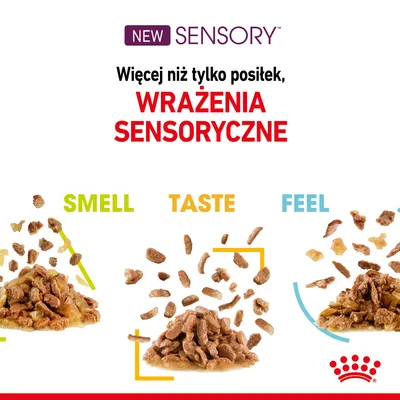 NEW SENSORY. Więcej niż tylko posiłek, WRAŻENIA SENSORYCZNE. SMELL, TASTE, FEEL – trzy porcje karmy z kawałkami w sosie, logo Royal Canin.