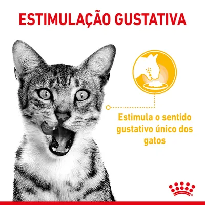 Texto: ESTIMULAÇÃO GUSTATIVA. Estimula o sentido gustativo único dos gatos. Imagem de um gato e ícone ilustrativo de gato a comer.