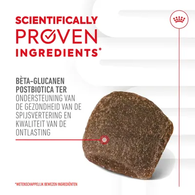 Tekst: Scientifically proven ingredients. Bèta-glucanen postbiotica ter ondersteuning van de gezondheid van de spijsvertering en kwaliteit van de ontlasting. Afbeelding van een brokje.