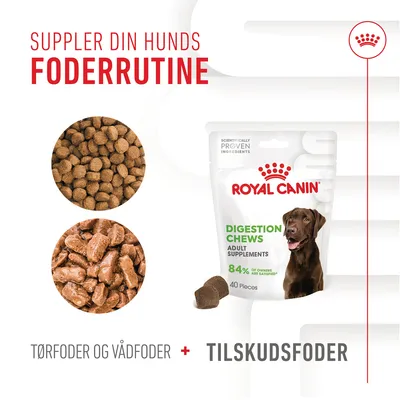 Royal Canin Digestion Chews Adult Supplements, 40 stk. Tekst: Suppler din hunds foderrutine. Tørfoder og vådfoder + tilskudsfoder. 84 % of owners are satisfied.