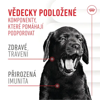 Vědecky podložené komponenty, které pomáhají podporovat zdravé trávení a přirozenou imunitu. Černý pes s otevřenou tlamou na obrázku.