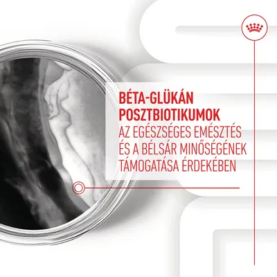 BÉTA-GLÜKÁN POSZTBIOTIKUMOK AZ EGÉSZSÉGES EMÉSZTÉS ÉS A BÉLSÁR MINŐSÉGÉNEK TÁMOGATÁSA ÉRDEKÉBEN