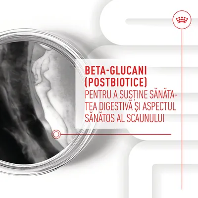 BETA-GLUCANI (POSTBIOTICE) PENTRU A SUSȚINE SĂNĂTATEA DIGESTIVĂ ȘI ASPECTUL SĂNĂTOS AL SCAUNULUI