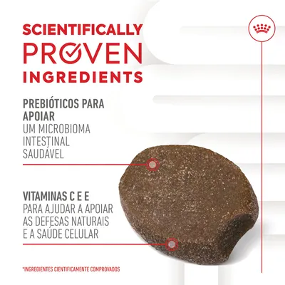 Texto em inglês: Scientifically Proven Ingredients. Prebióticos para apoiar um microbioma intestinal saudável. Vitaminas C e E para ajudar a apoiar as defesas naturais e a saúde celular.