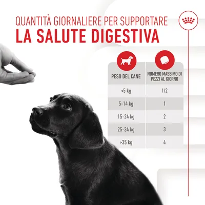 Quantità giornaliere per la salute digestiva: tabella con peso del cane e numero massimo di pezzi al giorno, da 1/2 per <5 kg a 4 per >35 kg.