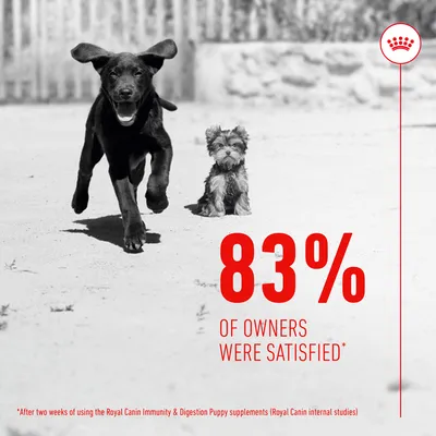 83% of owners were satisfied after two weeks of using Royal Canin Immunity & Digestion Puppy supplements, based on internal studies.
