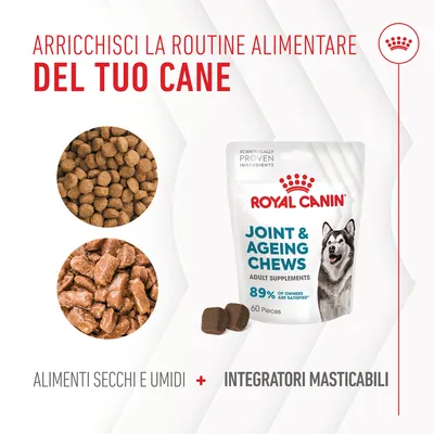 ROYAL CANIN Joint & Ageing Chews, confezione da 60 pezzi. Testo: arricchisci la routine alimentare del tuo cane. Alimenti secchi e umidi + complementi alimentari masticabili.