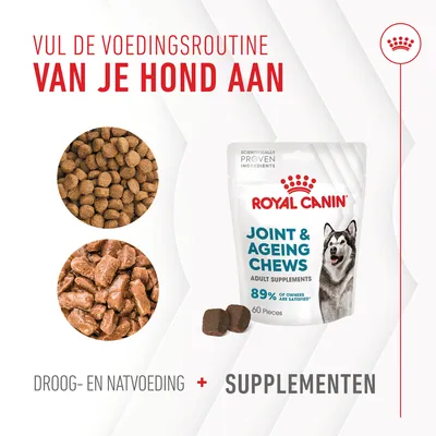 Royal Canin Joint & Ageing Chews, verpakking met 60 stuks. Tekst: Vul de voedingsroutine van je hond aan. Droog- en natvoeding + supplementen. 89% of owners are satisfied.