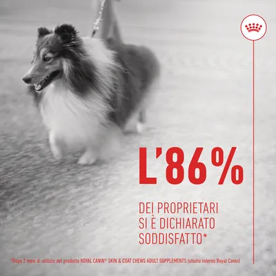 L'86% dei proprietari si è dichiarato soddisfatto dopo 2 mesi di utilizzo del prodotto ROYAL CANIN SKIN & COAT CHEWS ADULT SUPPLEMENTS (studio interno Royal Canin)