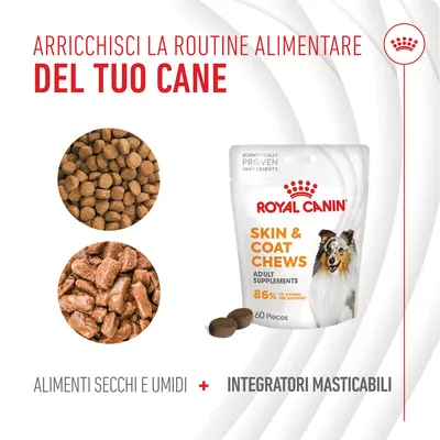 Royal Canin Skin & Coat Chews complementi alimentari masticabili per cani, 60 pezzi. Testo: arricchisci la routine alimentare del tuo cane. Alimenti secchi e umidi + complementi alimentari masticabili.