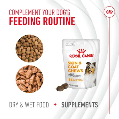 Royal Canin Skin & Coat Adult Supplement grickalice