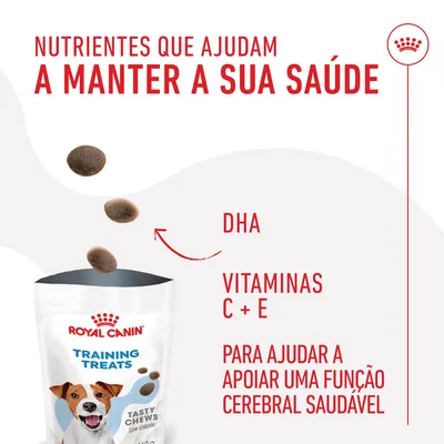 Royal Canin Training Treats Tasty Chews. Nutrientes que ajudam a manter a sua saúde: DHA, vitaminas C + E, para ajudar a apoiar uma função cerebral saudável.