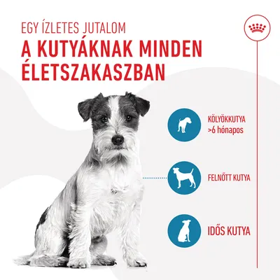 Egy ízletes jutalom a kutyáknak minden életszakaszban. Kölyökkutya >6 hónapos, felnőtt kutya, idős kutya.