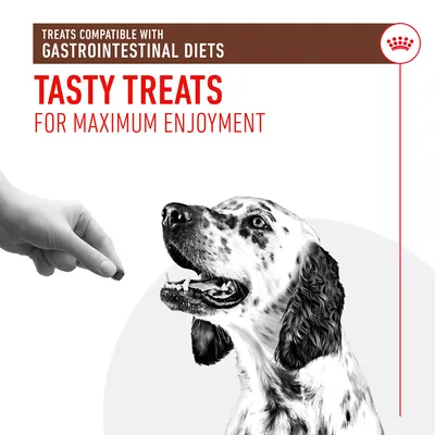 Treats compatible with gastrointestinal diets. Tasty treats for maximum enjoyment. Image shows a hand offering a treat to a dog.