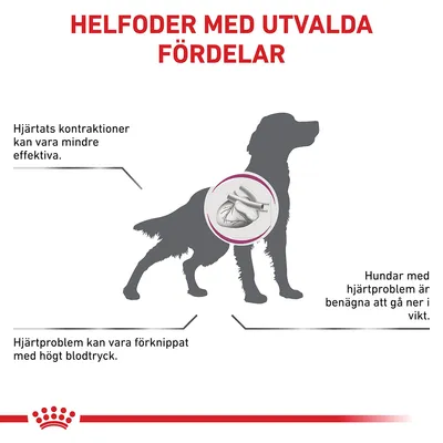 Helfoder med utvalda fördelar. Hjärtats kontraktioner kan vara mindre effektiva. Hjärtproblem kan vara förknippat med högt blodtryck. Hundar med hjärtproblem är benägna att gå ner i vikt.