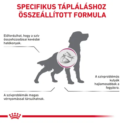 Specifikus tápláláshoz összeállított formula. Előfordulhat, hogy a szív összehúzódásai kevésbé hatékonyak. A szívproblémák magas vérnyomással társulhatnak. A szívproblémás kutyák hajlamosabbak a fogyásra.