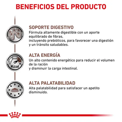 Beneficios del producto: soporte digestivo con fibras y prebióticos, alta energía para reducir el volumen de la ración, alta palatabilidad para apetito disminuido.