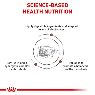 Science-based health nutrition with highly digestible ingredients, adapted electrolytes, EPA+DHA antioxidants, and prebiotics for balanced microbiota. Key product features shown.