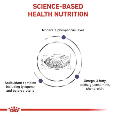 Science-based health nutrition with moderate phosphorus, antioxidant complex including lycopene and beta-carotene, omega-3 fatty acids, glucosamine, and chondroitin.