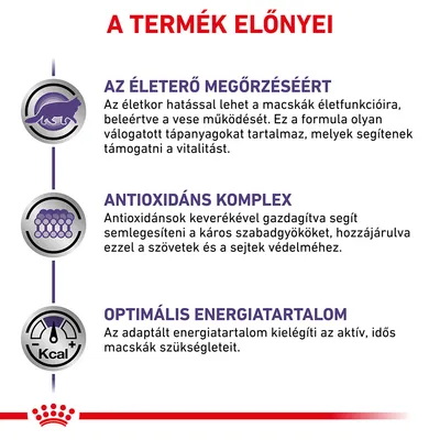 A TERMÉK ELŐNYEI: AZ ÉLETERŐ MEGŐRZÉSÉÉRT, ANTIOXIDÁNS KOMPLEX, OPTIMÁLIS ENERGIATARTALOM. Részletes leírás a macskák vitalitásáról, antioxidánsokról és energiatartalomról.