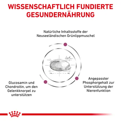 Wissenschaftlich fundierte Gesunderährung: Natürliche Inhaltsstoffe der Grünlippmuschel, Glucosamin und Chondroitin für Gelenkknorpel, angepasster Phosphorgehalt zur Unterstützung der Nierenfunktion.