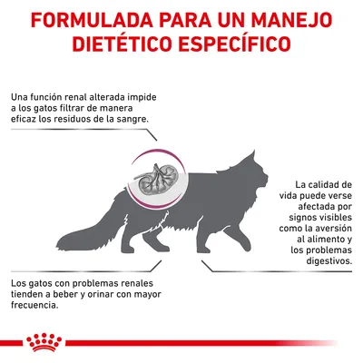 Texto: Formulada para un manejo dietético específico. Explicación sobre problemas renales en gatos, síntomas y efectos en la calidad de vida. Imagen de gato con ilustración de riñón.