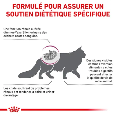 Formulé pour assurer un soutien diététique spécifique. Fonction rénale altérée, signes visibles d’aversion alimentaire et troubles digestifs chez le chat. Royal Canin.