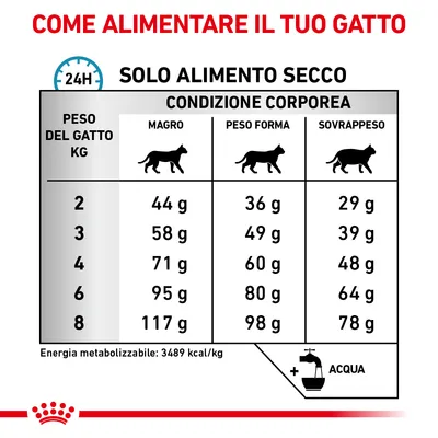 Tabella consigli alimentari per gatto: peso 2–8 kg, dosi giornaliere in grammi per magro, peso forma e sovrappeso. Energia metabolizzabile: 3489 kcal/kg. Acqua sempre disponibile.