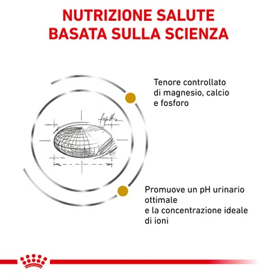 Nutrizione salute basata sulla scienza. Tenore controllato di magnesio, calcio e fosforo. Promuove un pH urinario ottimale e la concentrazione ideale di ioni.