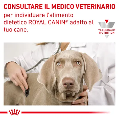 CONSULTARE IL MEDICO VETERINARIO per individuare l’alimento dietetico ROYAL CANIN adatto al tuo cane. VETERINARY NUTRITION.