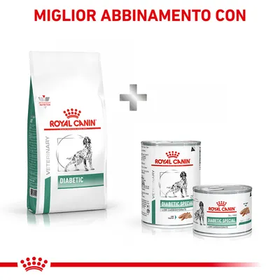 Miglior abbinamento con: sacco Royal Canin Veterinary Diabetic e due lattine Royal Canin Diabetic Special Low Carbohydrate, visibili nomi e confezioni.