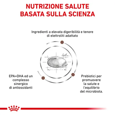 Nutrizione salute basata sulla scienza. Ingredienti a elevata digeribilità, elettroliti adattati, EPA+DHA con antiossidanti, prebiotici per salute ed equilibrio del microbiota.