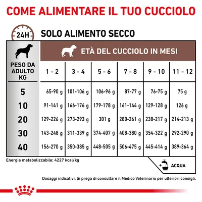 Tabella alimentare per cuccioli: dosi giornaliere di alimento secco in grammi per peso adulto (5–40 kg) e mesi d’età (1–12). Include nota su acqua e consulto veterinario.
