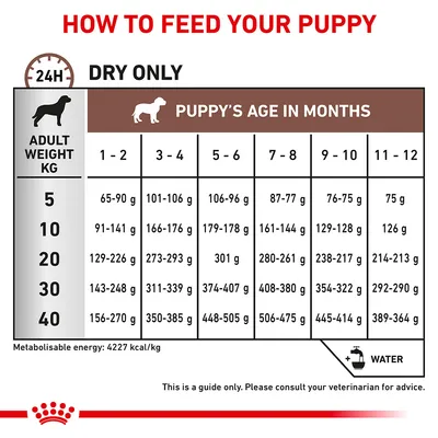 Feeding guide table showing daily dry food amounts in grams for puppies by adult weight and age in months, with reminder to provide water. Includes metabolizable energy: 4227 kcal/kg.