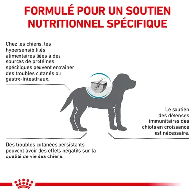 Formulé pour un soutien nutritionnel spécifique. Hypersensibilités alimentaires chez le chien : troubles cutanés ou gastro-intestinaux, importance du soutien immunitaire et de la qualité de vie.